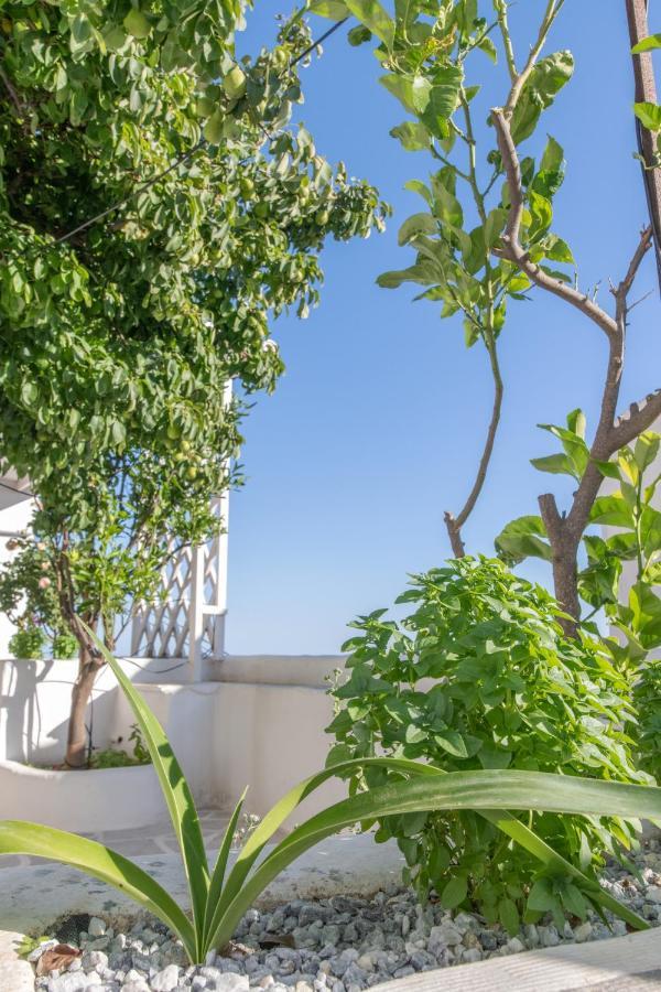 Myroviglia Ysternia Villa Isternia  Ngoại thất bức ảnh